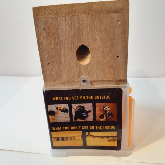 carpenter bee trap Bees N Things - Picture 14 of 16